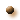 bullet